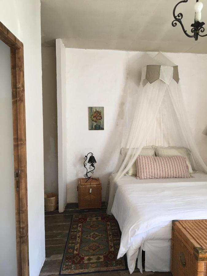 La Maison Sur La Riviere Vabre Exteriör bild
