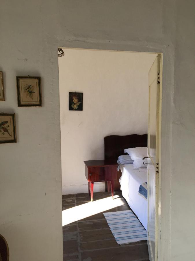 La Maison Sur La Riviere Vabre Exteriör bild