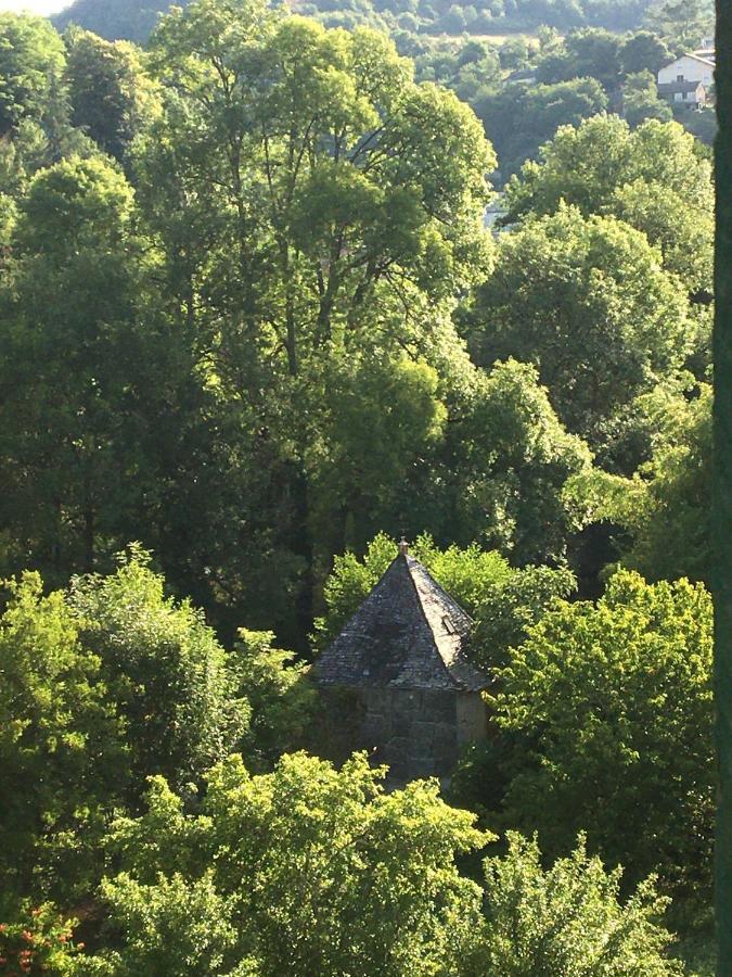 La Maison Sur La Riviere Vabre Exteriör bild